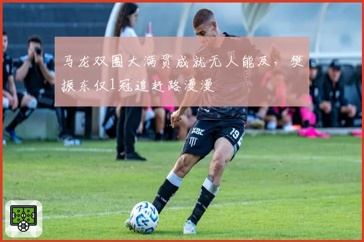 马龙双圈大满贯成就无人能及,樊振东仅1冠追赶路漫漫