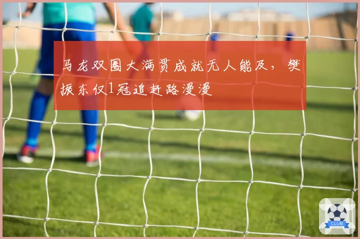 马龙双圈大满贯成就无人能及,樊振东仅1冠追赶路漫漫