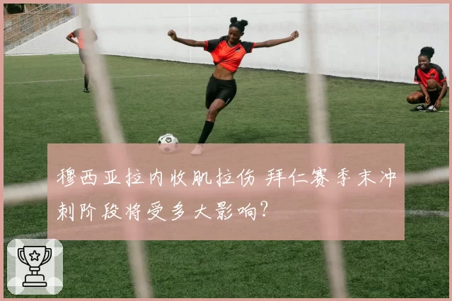 穆西亚拉内收肌拉伤 拜仁赛季末冲刺阶段将受多大影响?